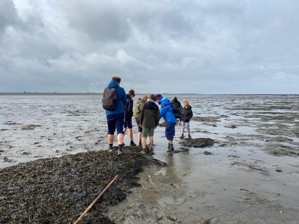 Mudflat walking